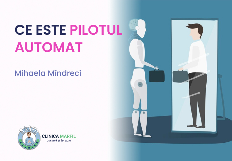 CE ESTE PILOTUL AUTOMAT