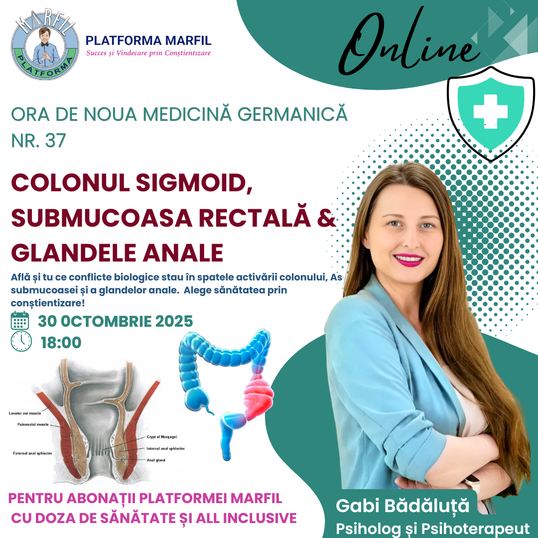 Colonul sigmoid, submucoasa rectală și glandele anale