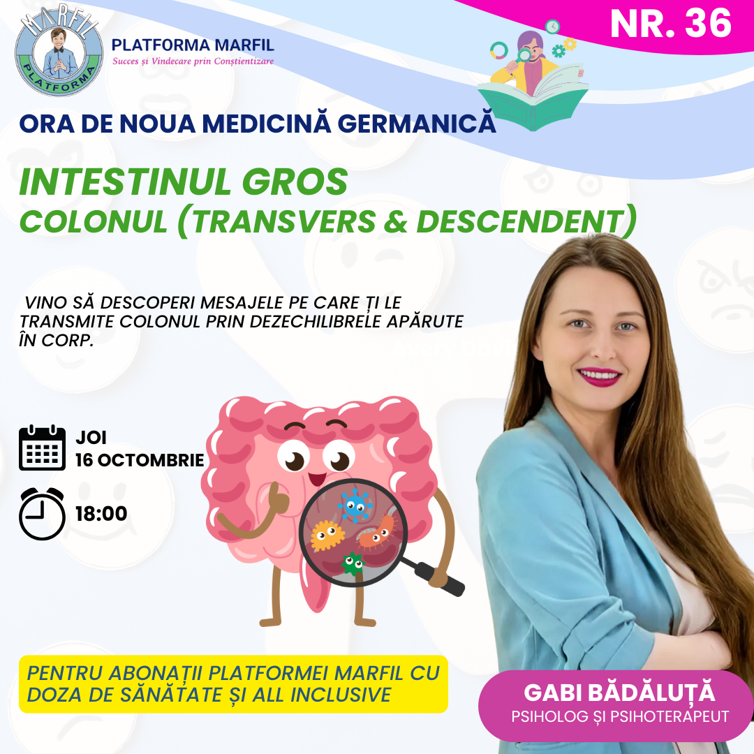 Intestinul gros – colonul transvers și descendent