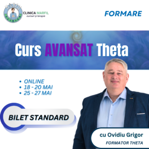 Formare Avansat Theta Healing: Bilet standard