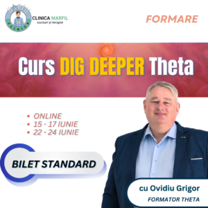 Formare Dig Deeper: Bilet standard