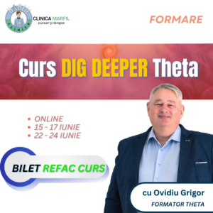 Formare Dig Deeper: Bilet refac cursul