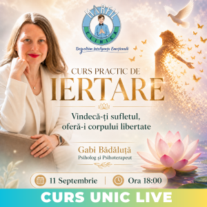 Curs practic de IERTARE