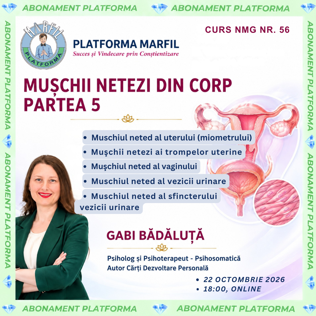 Curs abonament: Mușchii netezi din corp, partea 5 (mușchiul uterului, trompelor uterine, vaginului vezicii urinare, sfincterului vezicii urinare)